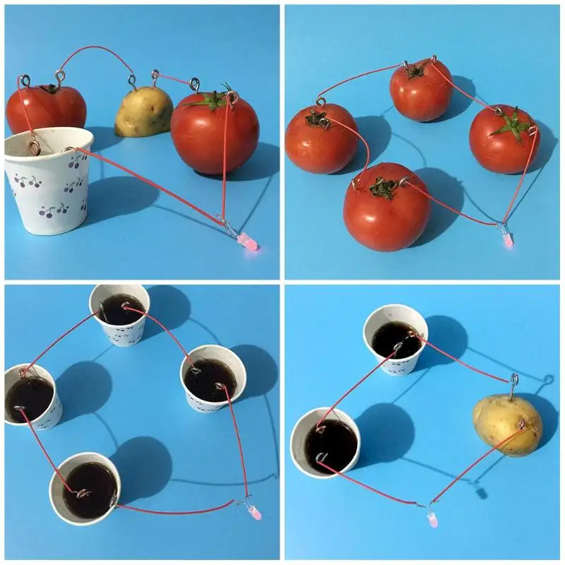 

Hot Fruit Battery Model DIY Material Science Experiment Toys Kit Children Kids Educational Energy Generation Toy for Kids Gift