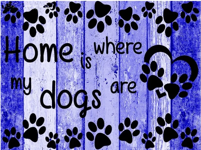 HTB1iC5yeviSBuNkSnhJq6zDcpXaw