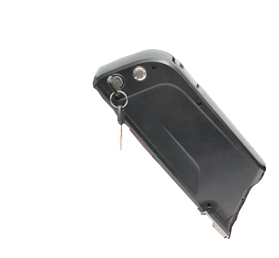 dolphin battery 48v 13ah