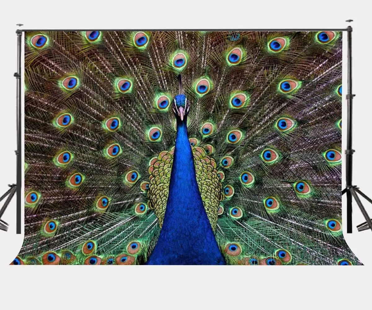 

7x5ft Backdrop Beautiful Peacock Feathers Photography Background Photo Video Studio Props
