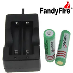 FandyFire ЕС Plug Зарядное устройство + 3,7 В 2000 мАч 18650 защищены Батарея факел luz Охота фонарик 18650 фонарь Блик фонарик