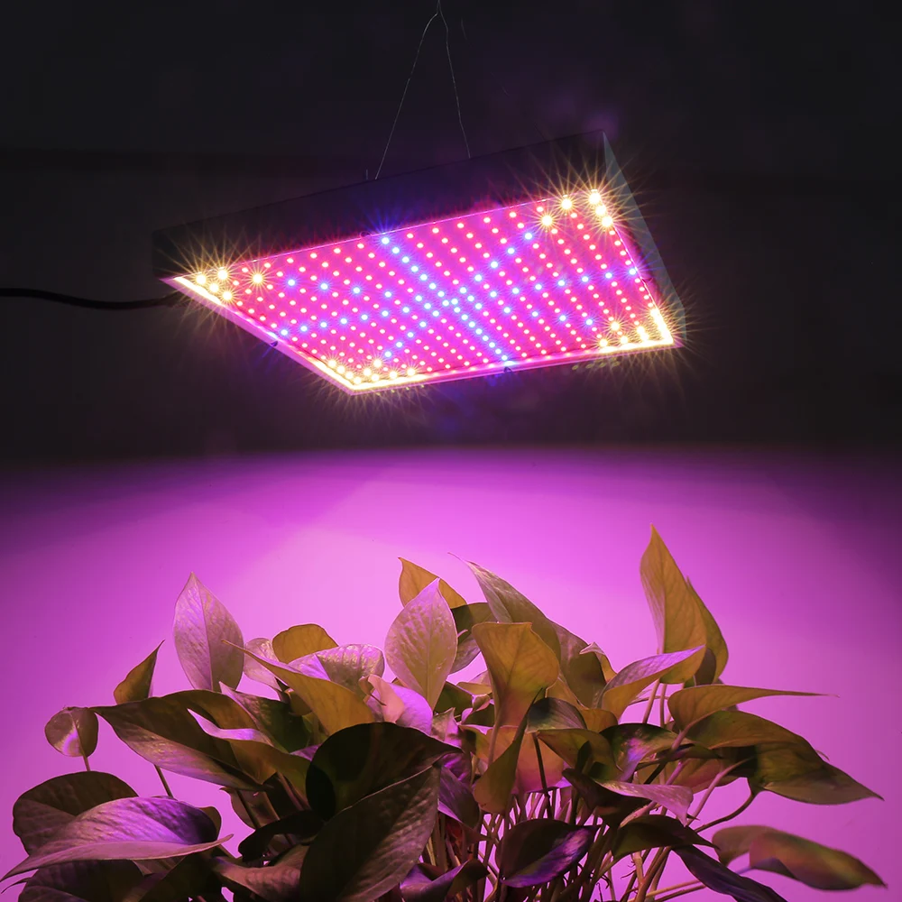 Фито свет полный спектр. Фитолампа для растений 150 Вт полный спектр. Фитолампа для растений полного спектра 120вт. Фитолампа светодиодная 50вт. 800 SMD led 800w фитолампа.