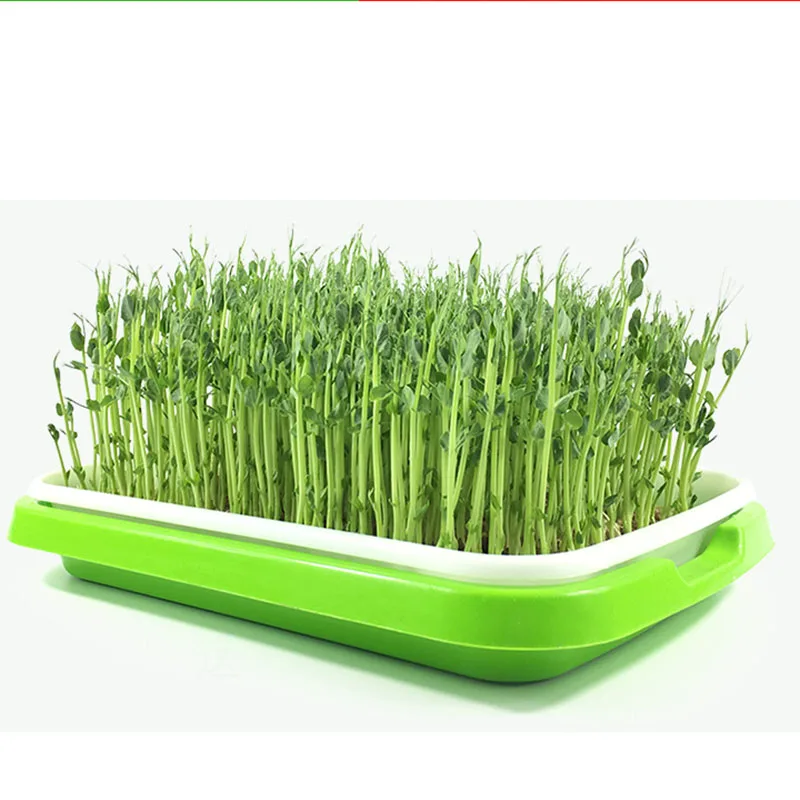 1 компл. Soilless культивирование Поддержка Полка рассады росток лоток кронштейн