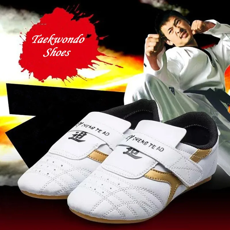 Taekwondo Shoes1