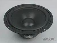 2018 горячая распродажа 1 шт. Подлинная Гонконг KASUN 8100 динамики 8 дюймов НЧ-динамик HIFI лихорадка динамик бесплатная доставка