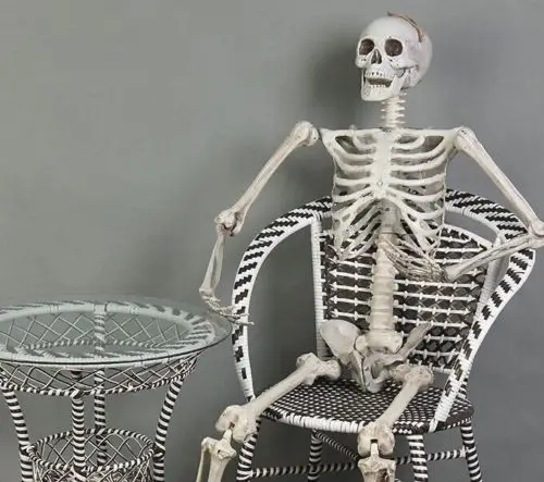 6 Feet Halloween 165cm Skeleton Figure Plastic Life Size Skeleton Haunted House Escape Horror props Decorations Toy 6 Feet Halloween 165cm Skeleton Figure Plastic Life Size Skeleton Haunted House Escape Horror props Decorations Toy
