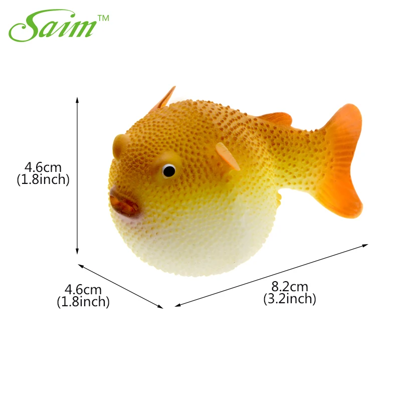 aquarium fish