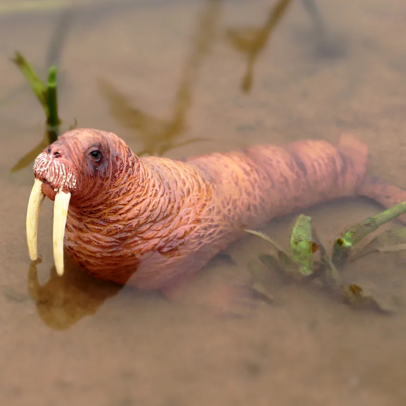 Oenux реалистичные водные животные фигурки Морская жизнь Акула кит дельфин рыба черепахи ПВХ модель игрушки для детей