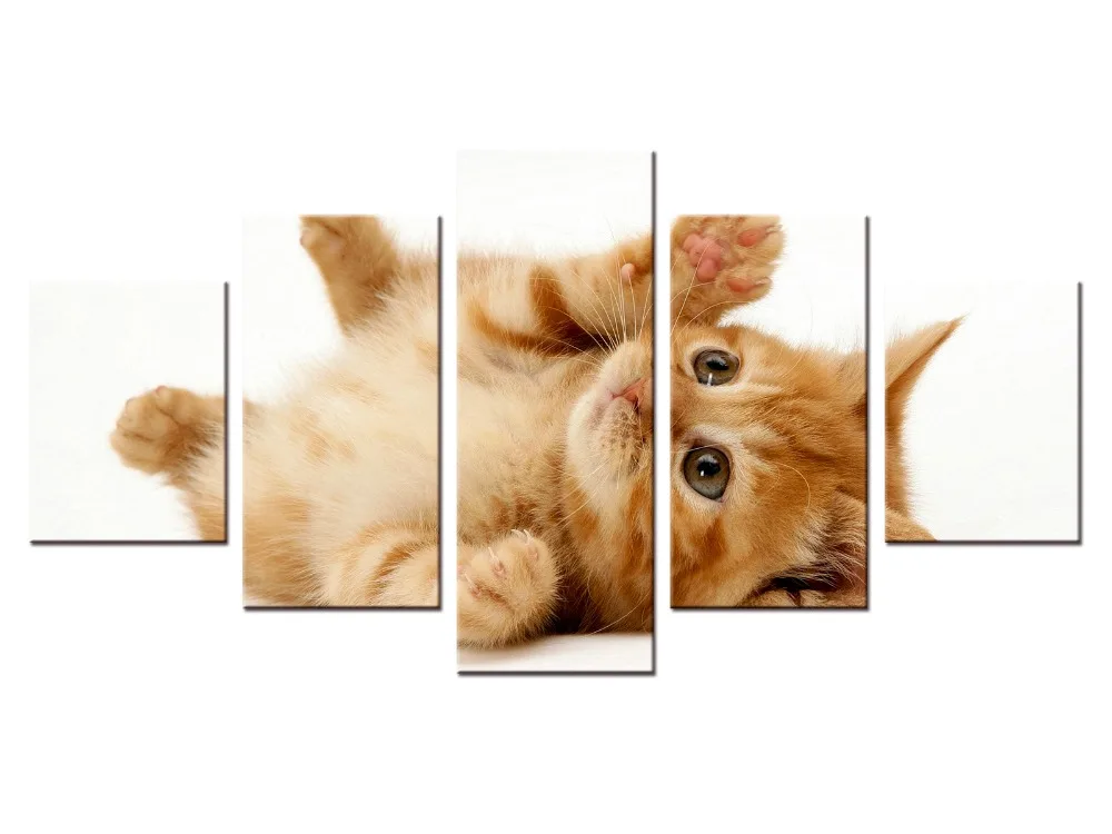 5 pieces / set Modern Animals Pet Cat Quotes Canvas Art Print Poster Nursery Wall Picture Kids Baby Room Decor Painting | Дом и сад