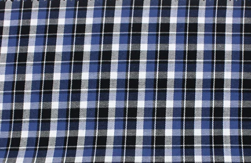 bule-small-plaid
