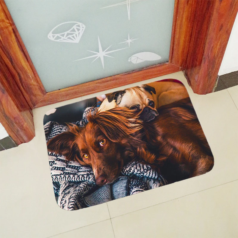 Новые креативные ковры, моющийся Забавный коврик для ванной собаки, коврики для ног, домашний декор, коврики для ванной комнаты, коврик для двери, коврик для пола, 40x60 см, 50x80 см, QXB5 - Цвет: QXB5 75