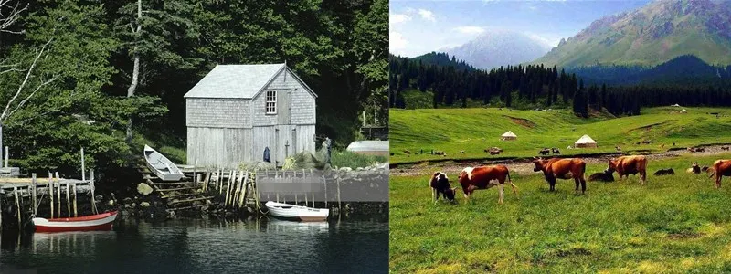 Hunting trail camera gsm mms (1)