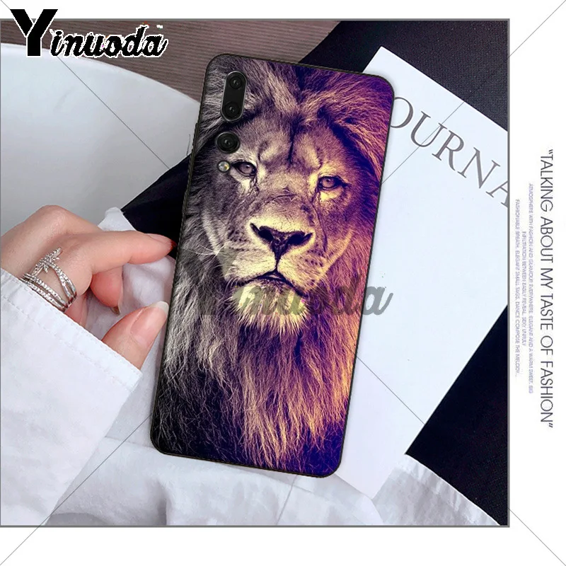 Animals The lion