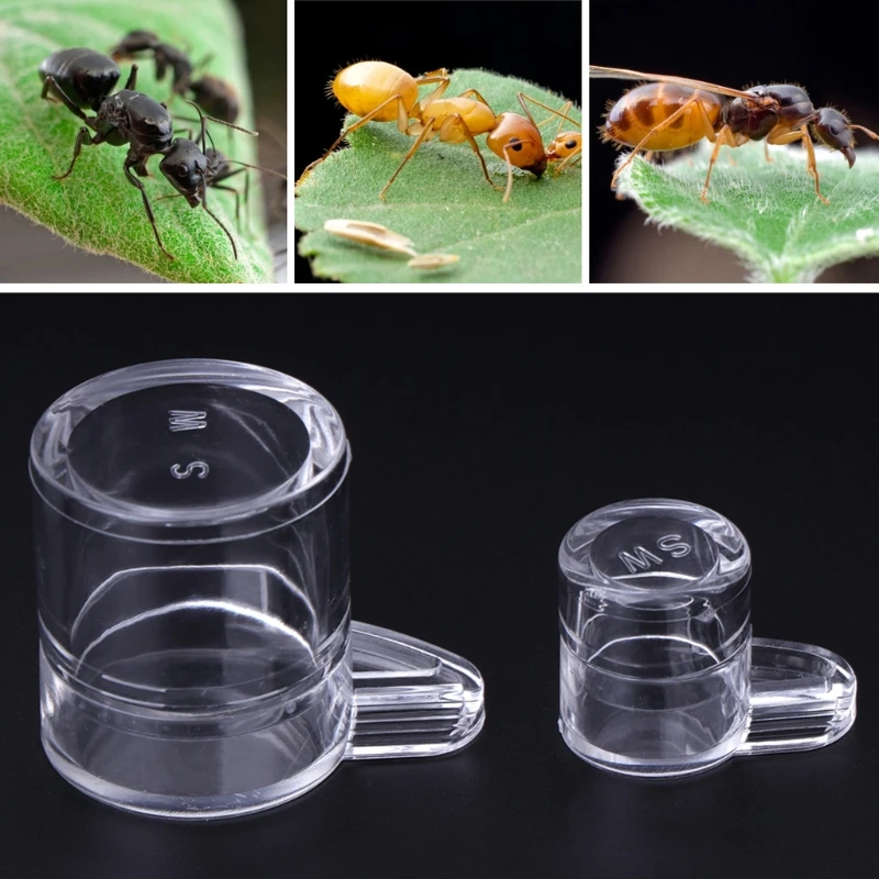 

Ant Feeder Water Feed Area Nest House Farm Acrylic Round Drinking Bowl For Ant