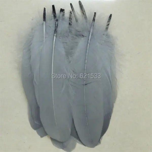 FD023 (1)