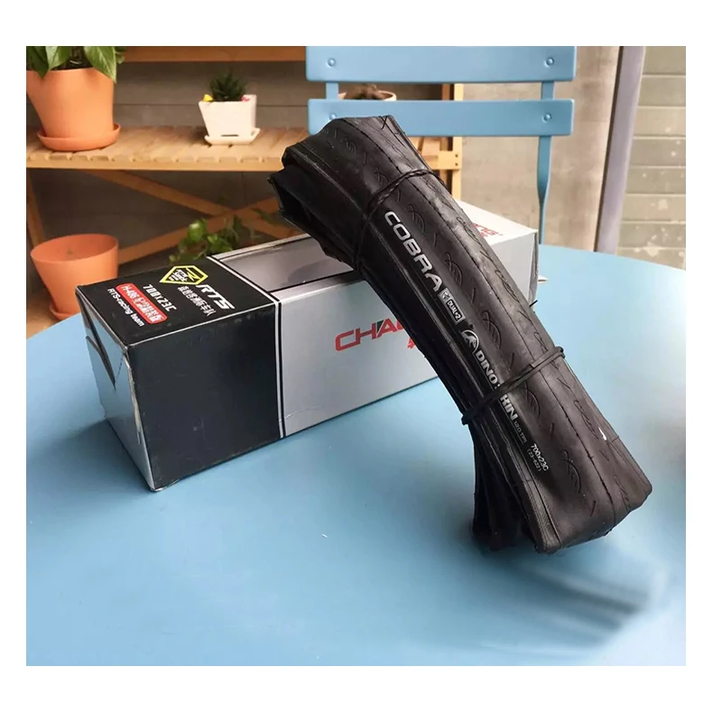 bike tire thorn protection