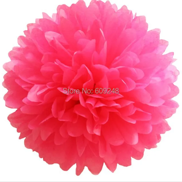 alipom8009.jpg