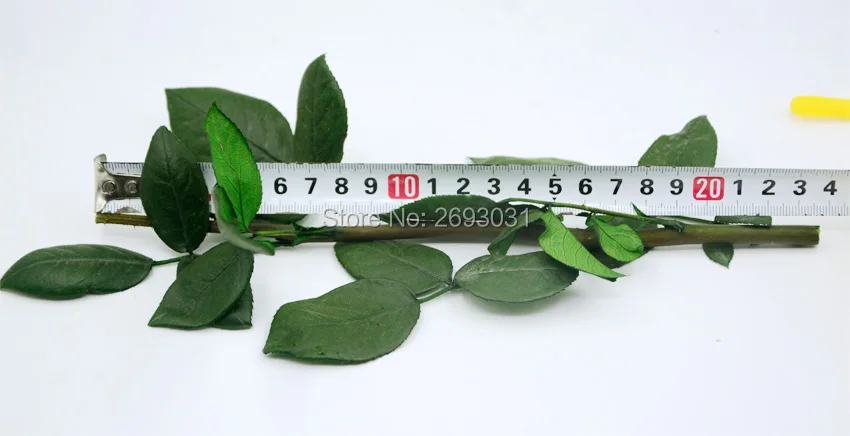 ms-stem-3