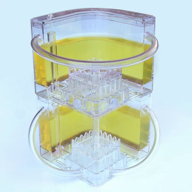 Ant Farm DIY with feeding area ant nest Ant farm acryl Insect ant nests villa pet  for house ants Insect Ecology Box Natural toy (2)