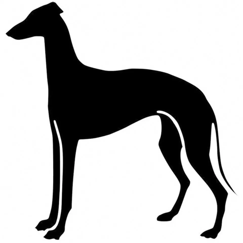 14.815.2CM Greyhound Dog Car Styling Decoration Decal Fashion Window Decoration Cartoon Car Sticker blackWhiteLaser (2)
