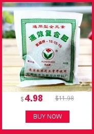 dianxiaobao