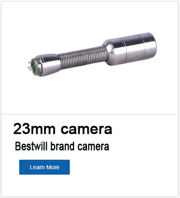 bestwill 1