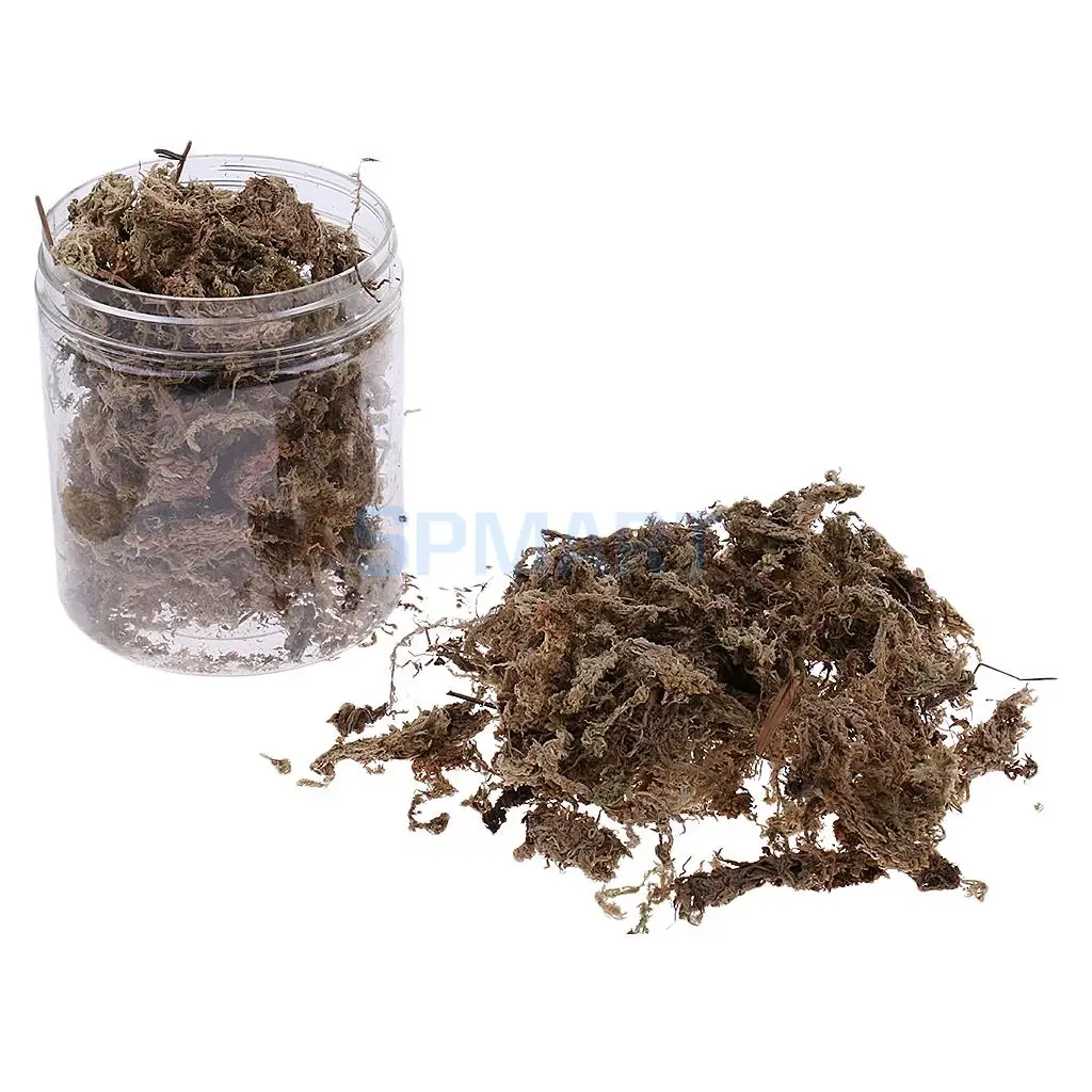 100ML/500ML Dry Grass Model Moss for Layout Terrain Vegetation Diorama Building Toy