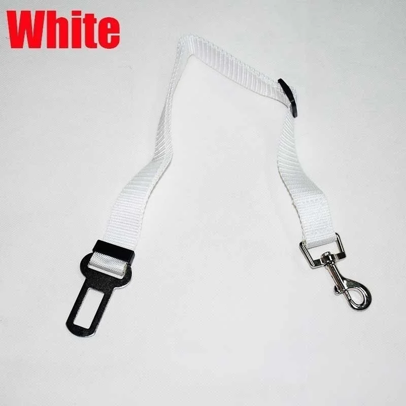 5981d1e4af41897171232bb9-40-original