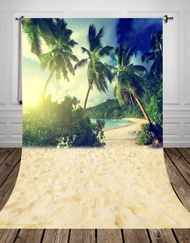 

Photography Background beach Digital Printing Newborn Backdrops For Photo Studio D-9279