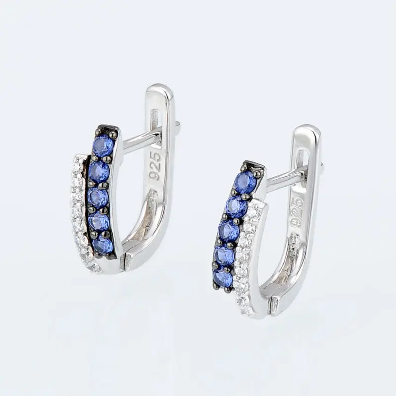 E304371SBZZSK925-SV4-Silver Earrings