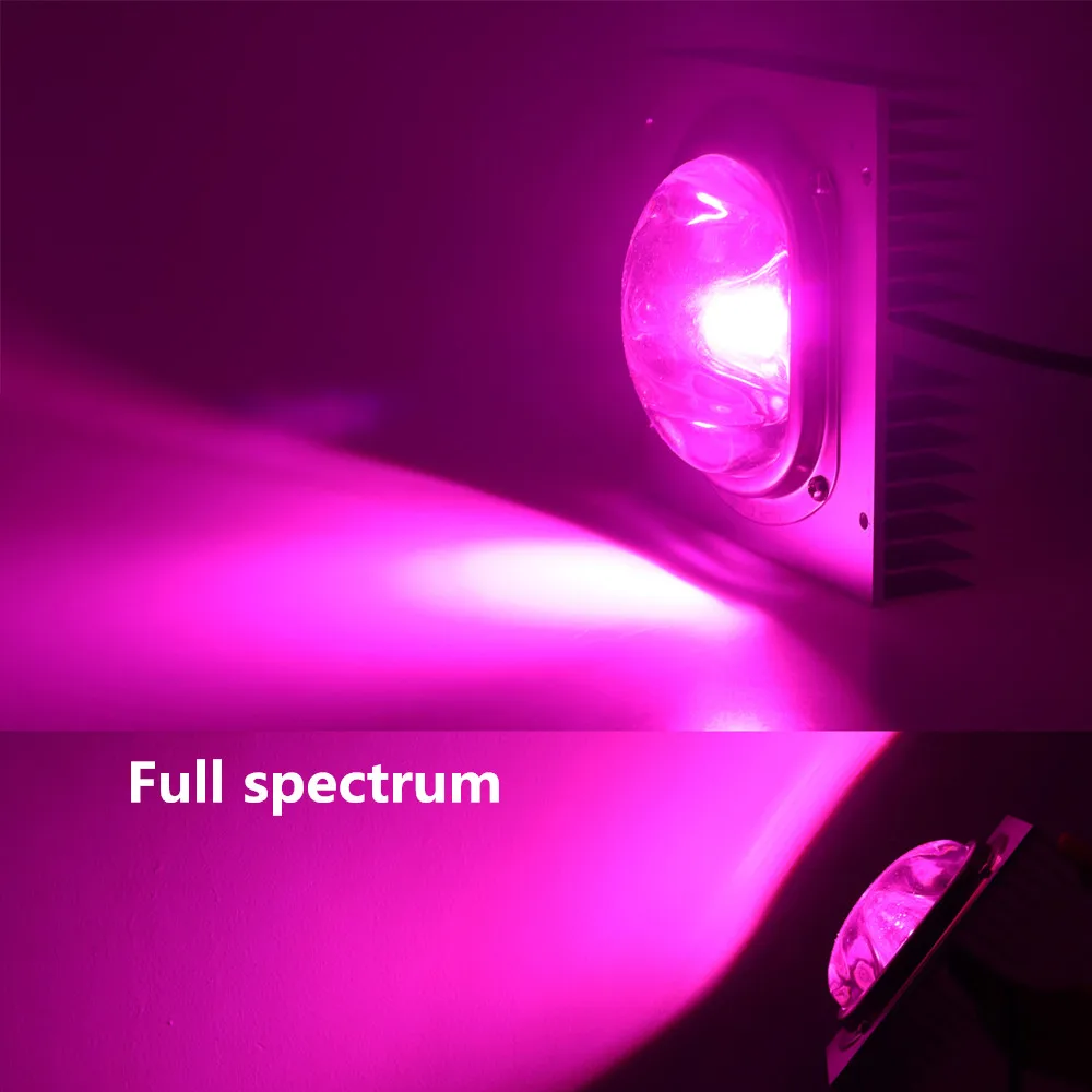 05_