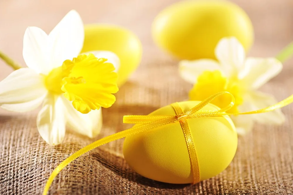 

SHANNY Vinyl Custom Photography Backdrops Prop Easter day theme Photo Studio Background ZONV-1146