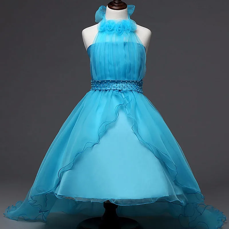 2695596335_1933995610