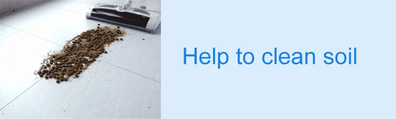 4448694500_176256764