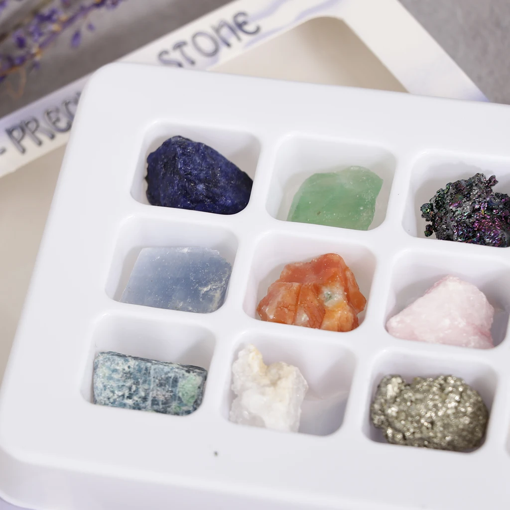 Rock and Mineral Collection PK546-5 Geology Science Kit Earth Science Toys
