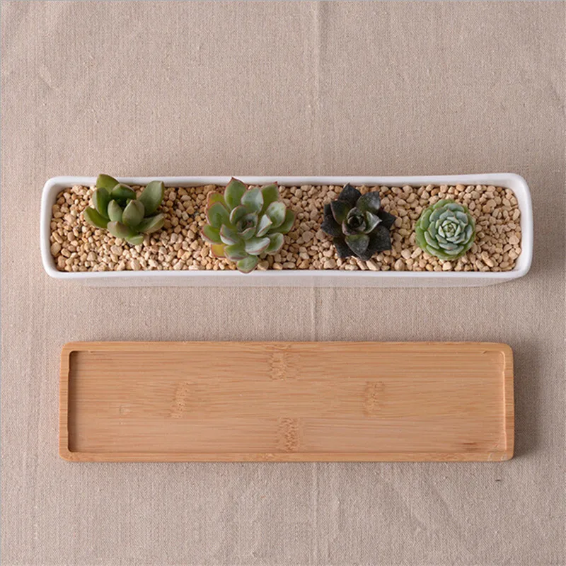

Modern Simple White Ceramic Succulents Plants Planter With BambooTray Green Plant Pots Desktop Decor Bonsai Landscape Flowerpot
