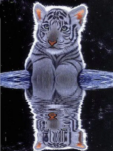DPF-DIY-water-tiger-5D-square-diamond-painting-cross-stitch-crafts-diamond-embroidery-mural-home-decoration.jpg_640x640