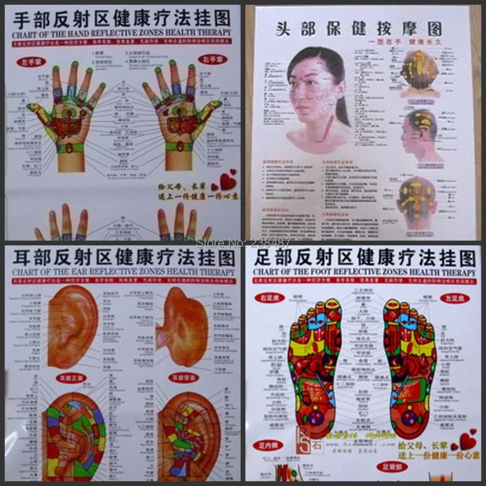 Health-Therapy-Flipchart-Head-Ear-Hand-Foot-Reflex-Zones-Wall-Map ...