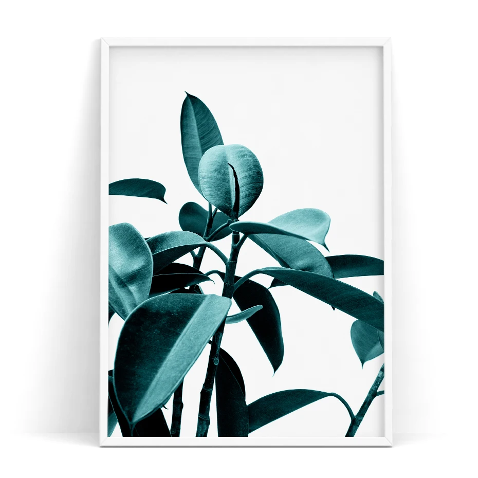 color_opt_4