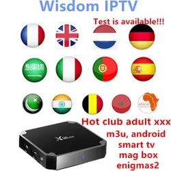 X96 мини-widom IP ТВ подписка Великобритания Netherland арабский США Италия Германия Испания Африка IPTV, французский 2000 + live hot club xxx tv box