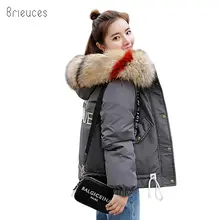 Brieuces 2018 Thick Warm Fur Hooded Short Parka Women Winter Coat Down Cotton Padded Jacket Winter Jacket Women Coat Female цена Brieuces 2018 Thick Warm Fur Hooded Short Parka Women Winter Coat Down Cotton Padded Jacket Winter Jacket Women Coat Female цены онлайн