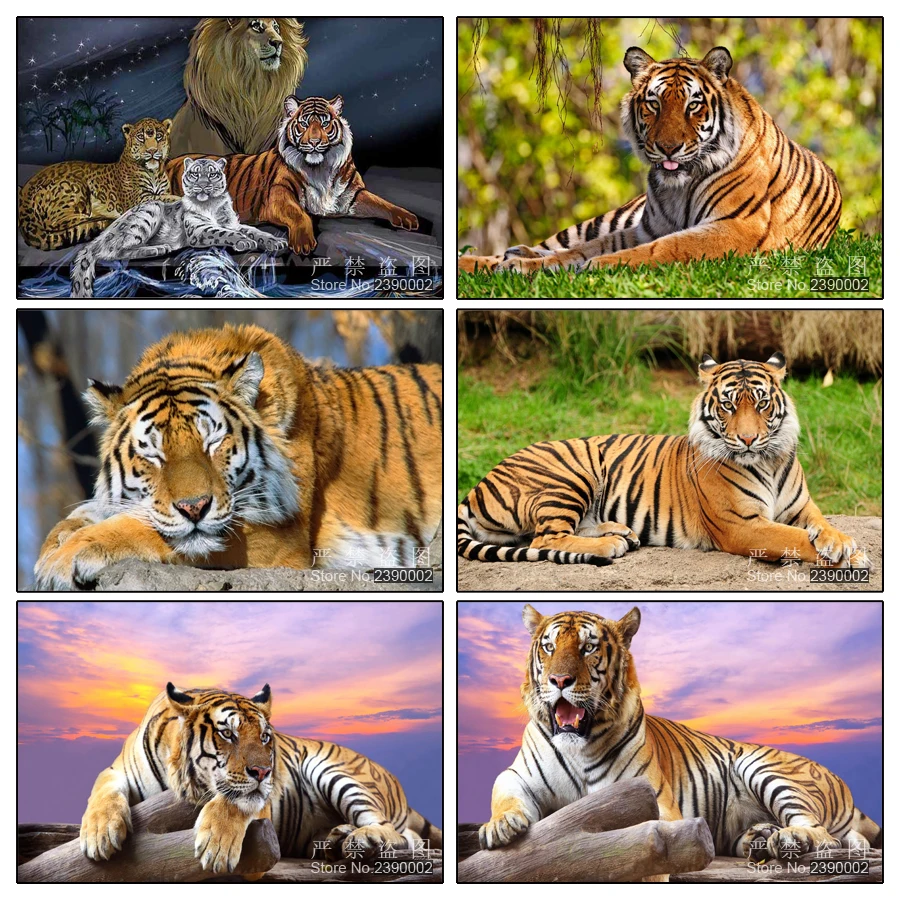 Алмазная вышивка 5D животные алмазная постеры квадратные алмазные наборы сделай