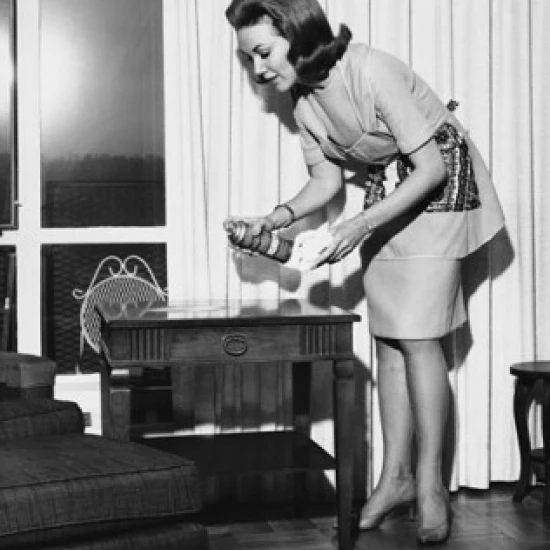 Young woman spraying furniture polish on a table Poster Print (18 x 24)
