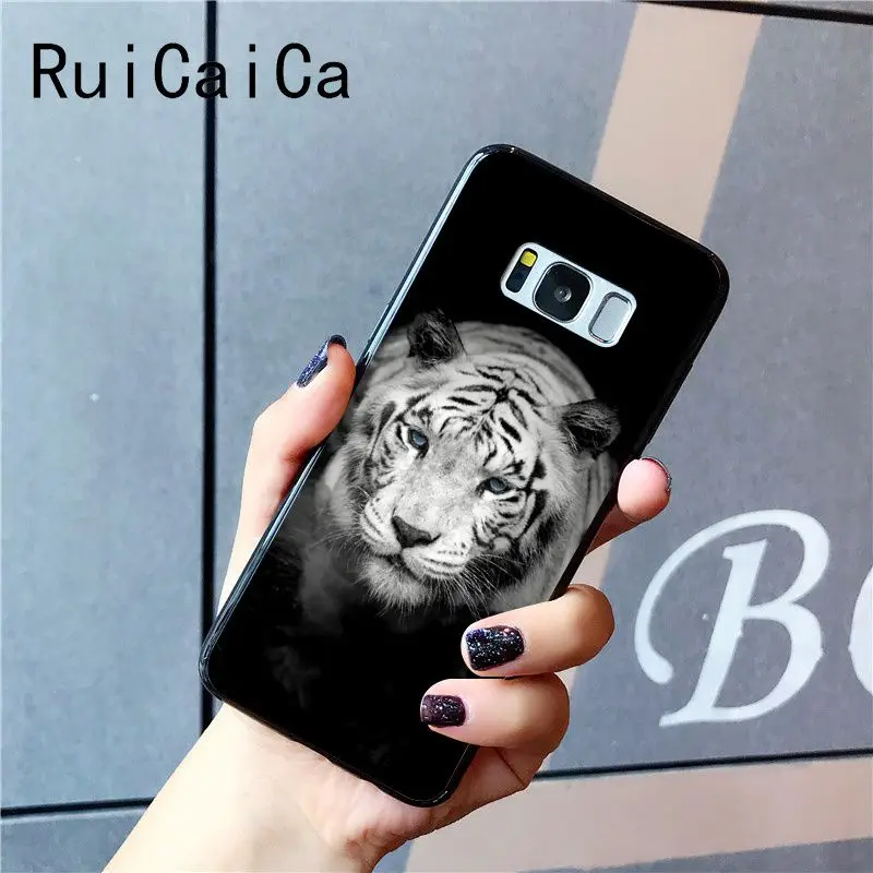 tiger fashion
