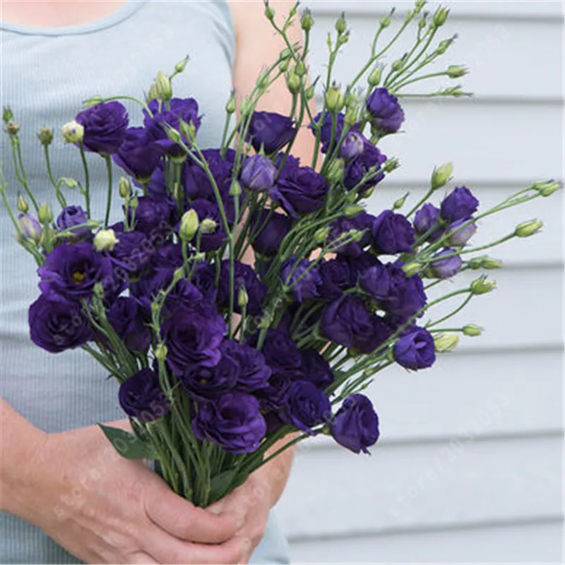 200 шт./пакет, редкие Eustoma цветок, растение в горшке, цветок Лизиантус завод, автоматический выключатель, бонсай для дома сад