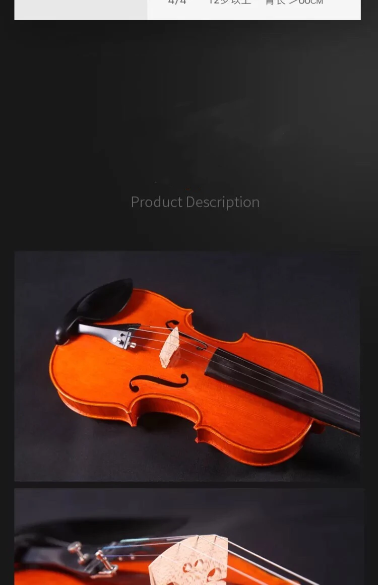 Купить Скрипку Для Начинающих Взрослых