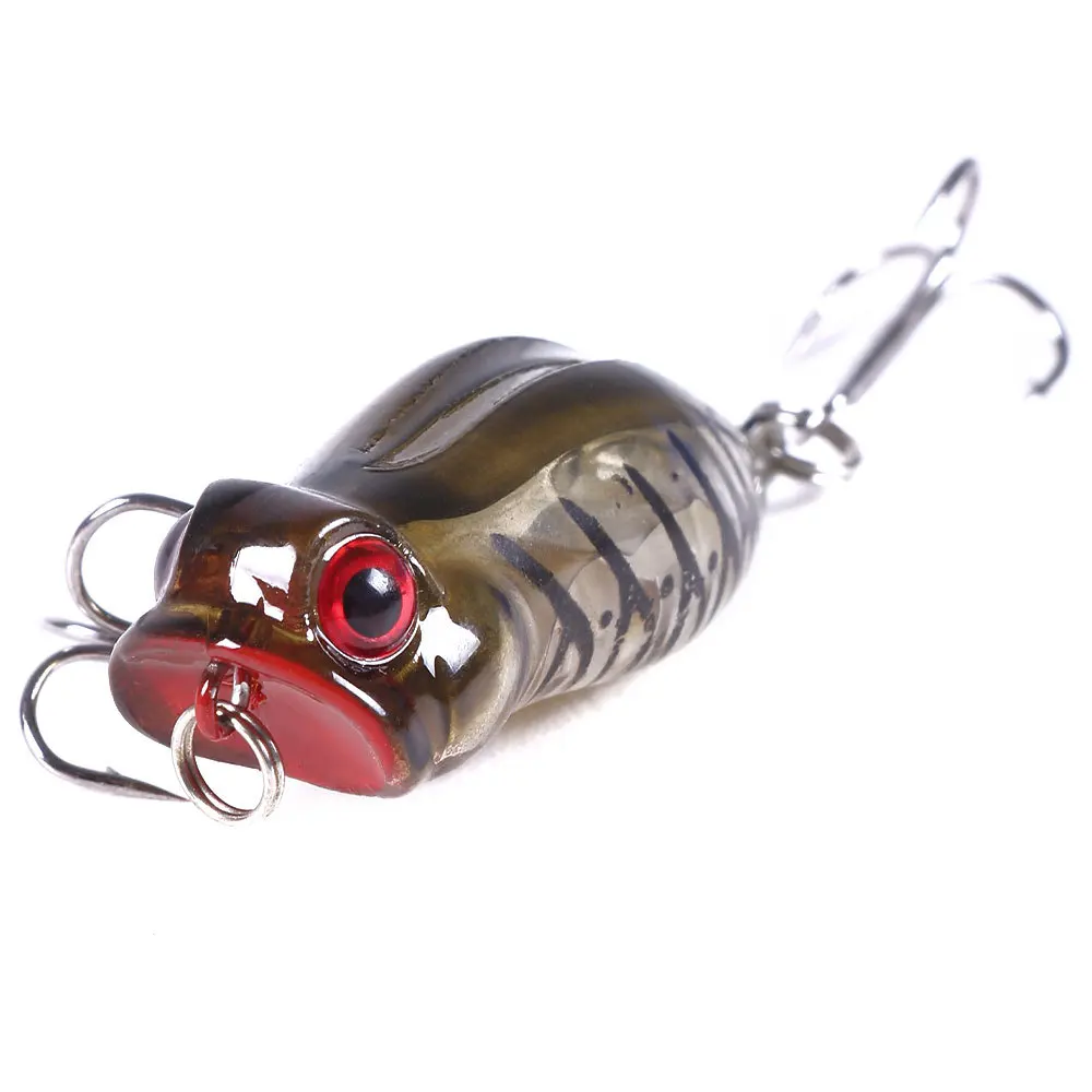 11431208395_477709903