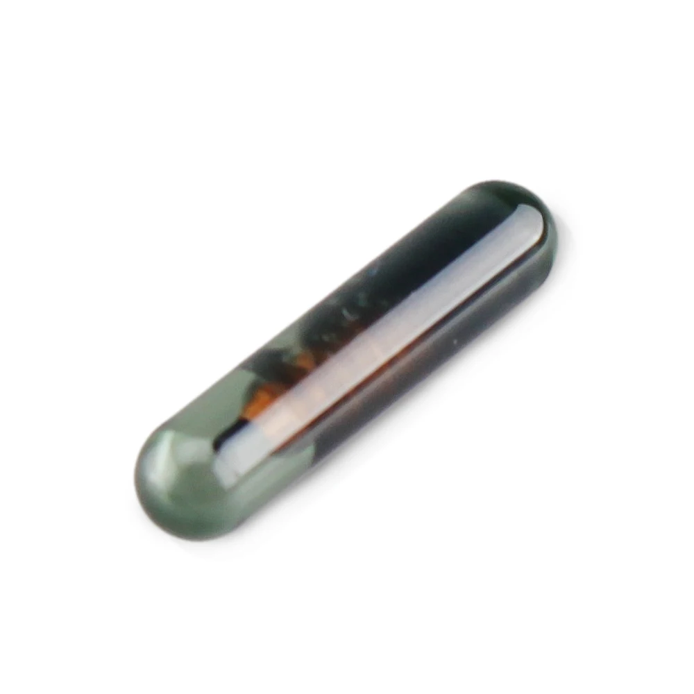 10x Chip chiave Auto ID13 TP03 Chip Transponder automatico vuoto ID 13 Chip vetro ID13 Chip Transponder per chiave Honda - HTB1vRGobyYrK1Rjy0Fdq6ACvVXa6