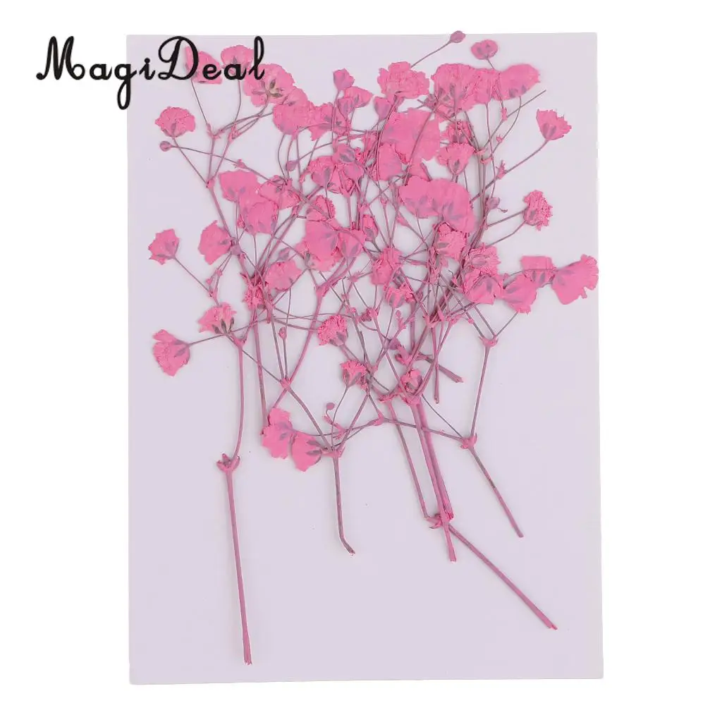 10 / 20Pcs Beautiful Real Pressed Rose Petal Babysbreath Flowers Dried Flowers for Art Craft Scrapbooking DIY Resin Jewelry