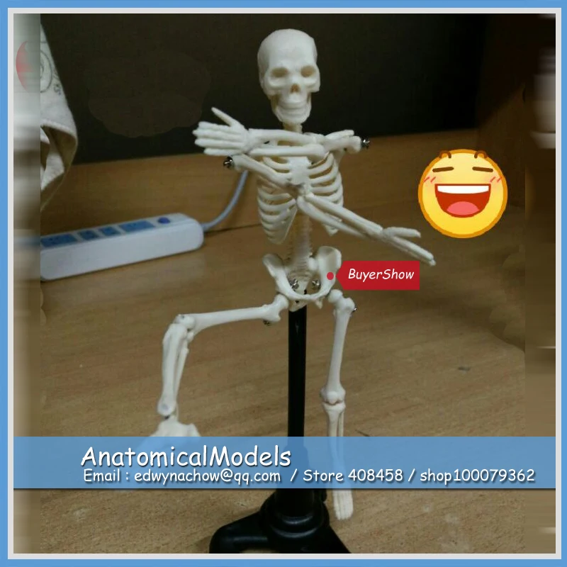 

ED-ED001 Mini 20cm Educational Skeleton Toy on Stand, Medical Science Educational Teaching Anatomical Models